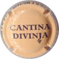 DIVINJA Cantina